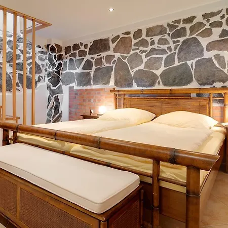 Historische Seelotsenstation 公寓 萨斯尼茨