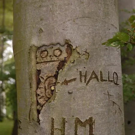 Historische Seelotsenstation 公寓