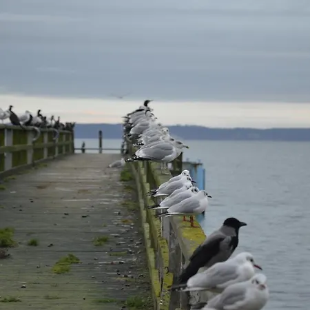 Historische Seelotsenstation * 萨斯尼茨